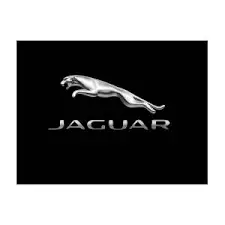 Jaguar X-Type 5Pt 06 Porta Anteriore Destra